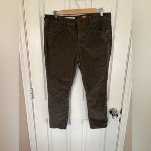 Pilcro and The Letterpress Anthro Dark Olive Straight Leg Pants